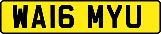 WA16MYU