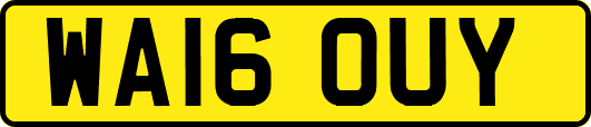 WA16OUY