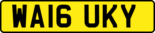 WA16UKY