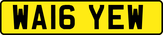 WA16YEW