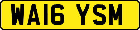 WA16YSM