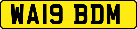 WA19BDM