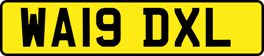 WA19DXL