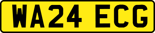 WA24ECG