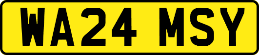 WA24MSY