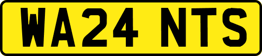 WA24NTS