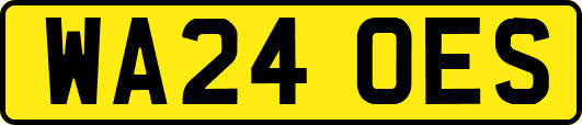 WA24OES