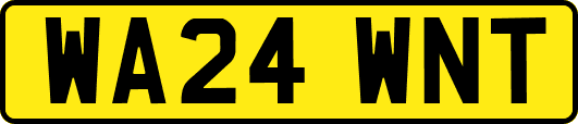 WA24WNT