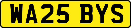 WA25BYS