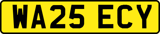 WA25ECY