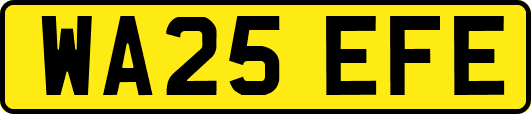 WA25EFE
