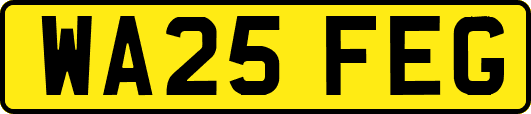 WA25FEG
