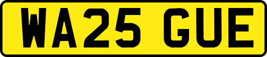 WA25GUE