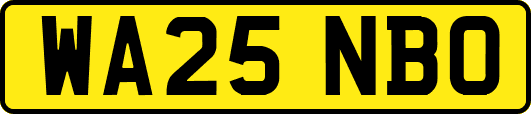 WA25NBO