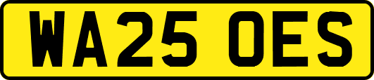 WA25OES