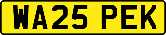 WA25PEK