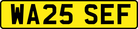 WA25SEF