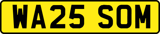 WA25SOM