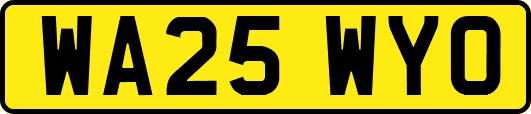 WA25WYO