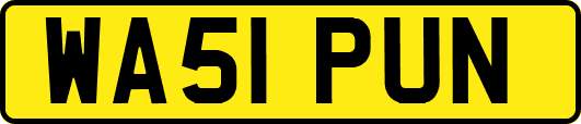 WA51PUN