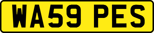 WA59PES
