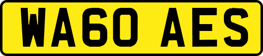 WA60AES