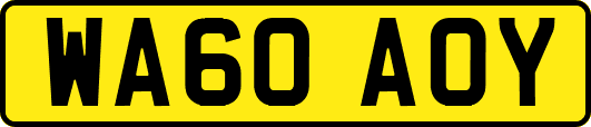 WA60AOY
