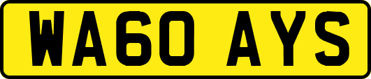 WA60AYS