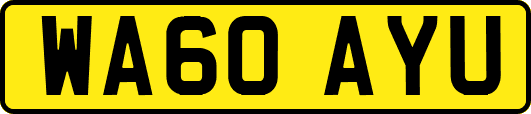 WA60AYU