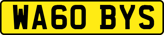 WA60BYS