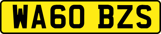 WA60BZS