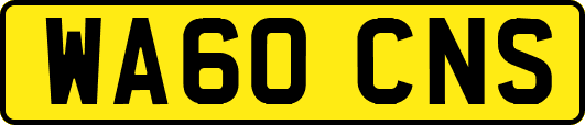 WA60CNS