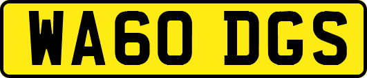 WA60DGS