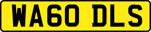 WA60DLS