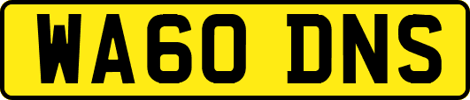 WA60DNS