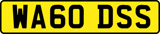 WA60DSS
