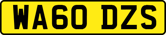 WA60DZS