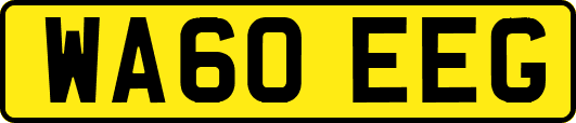 WA60EEG