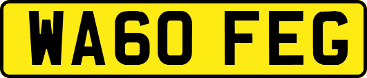 WA60FEG