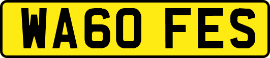 WA60FES