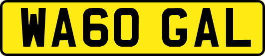 WA60GAL