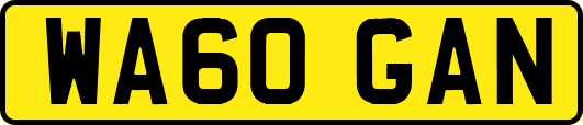 WA60GAN