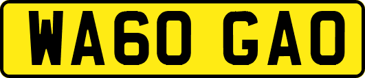 WA60GAO