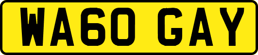 WA60GAY