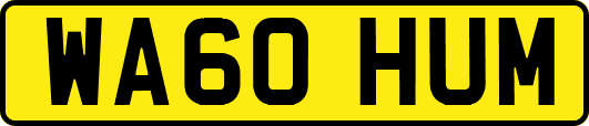 WA60HUM