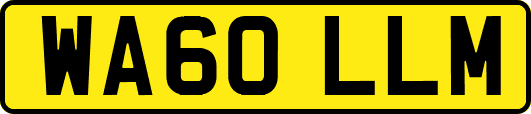WA60LLM