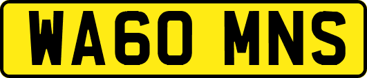 WA60MNS
