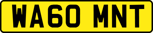 WA60MNT