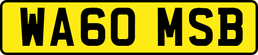 WA60MSB