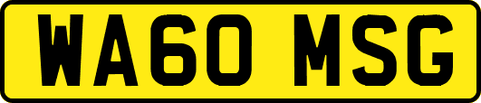WA60MSG